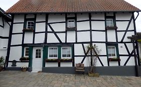 Relaxen Am Rosenbusch